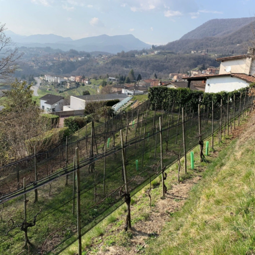 MORBIO SUPERIORE – Terreno edificabile